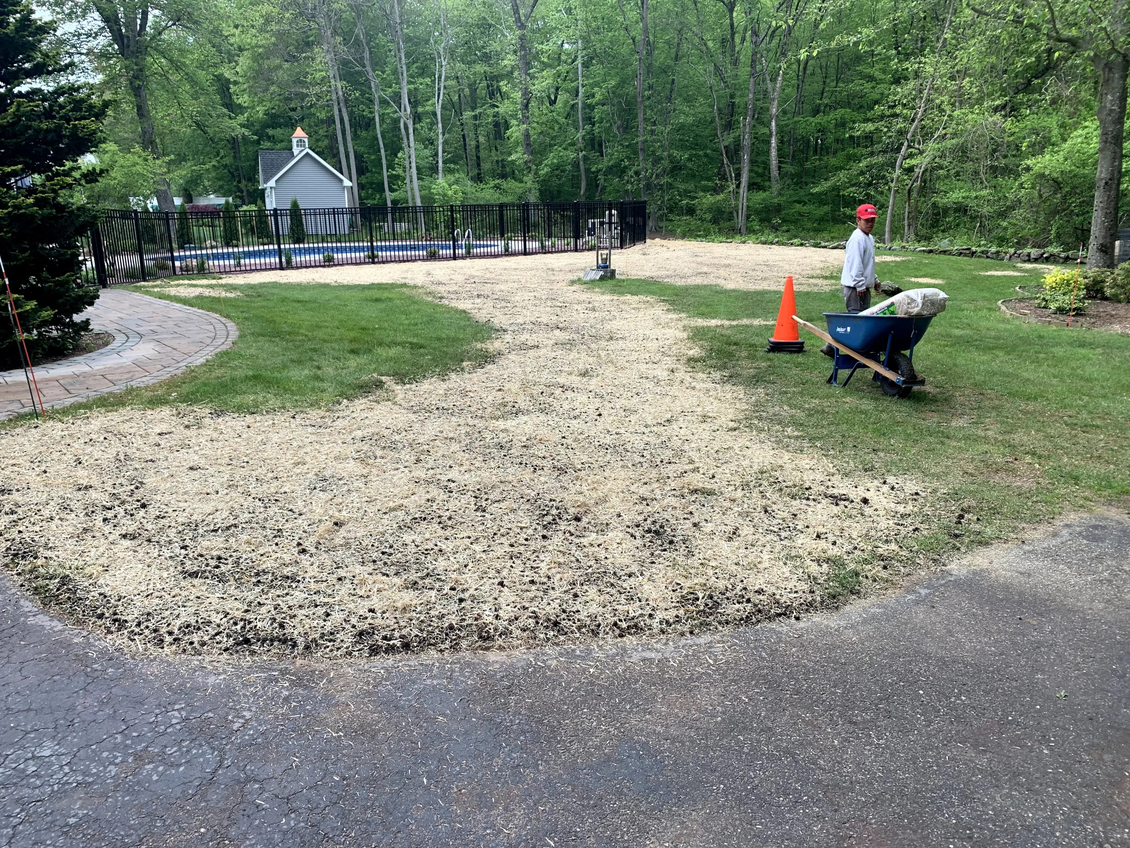 Lawn Seeding