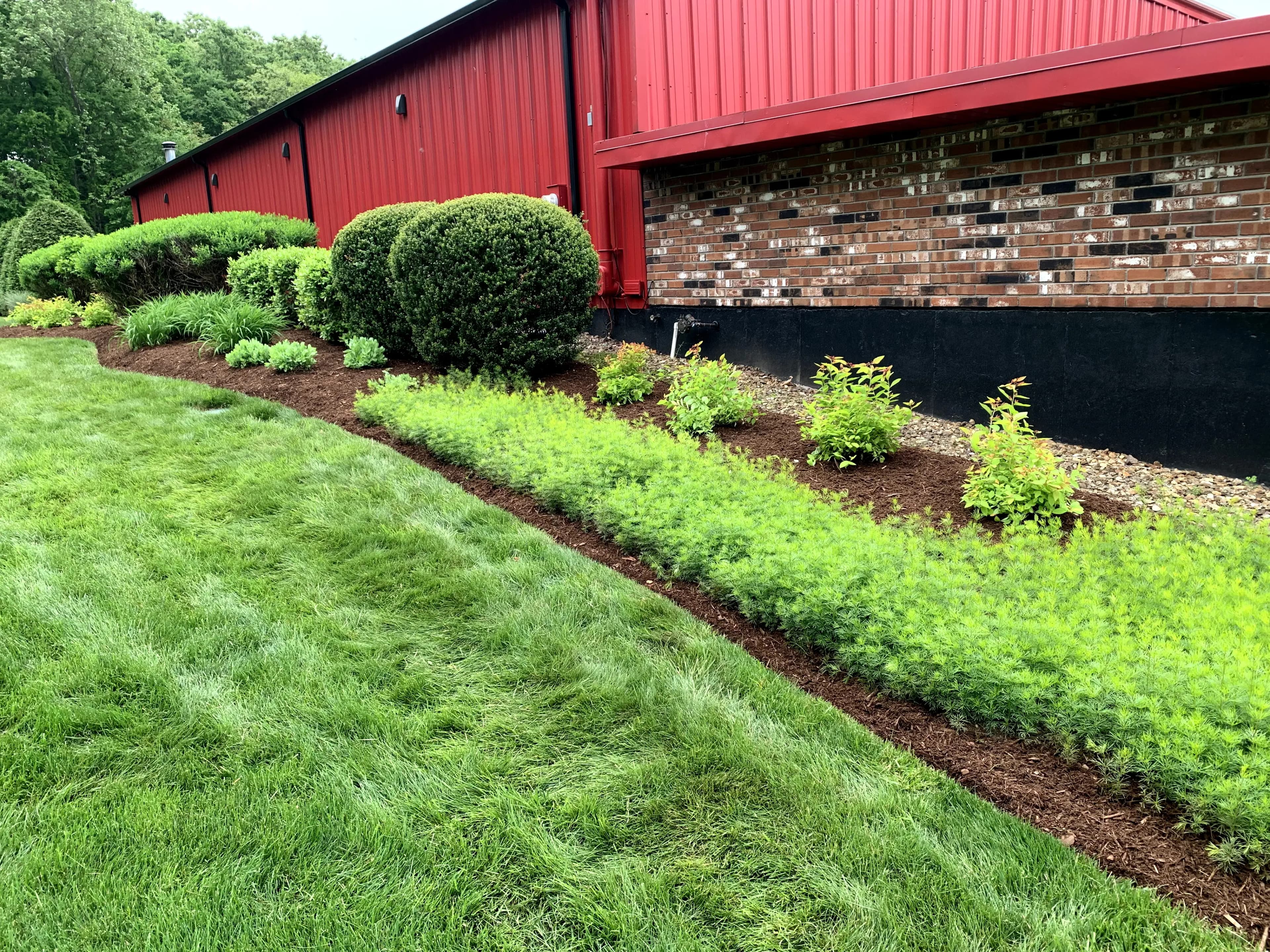 Mulch