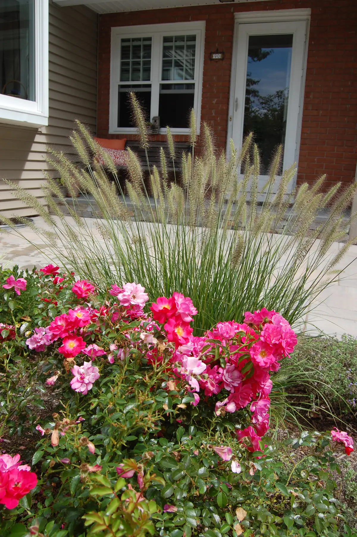 Gallery image 7